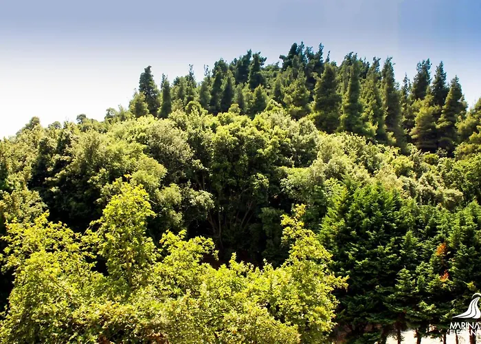 Marina's Elegance Appart hôtel Kriopigi