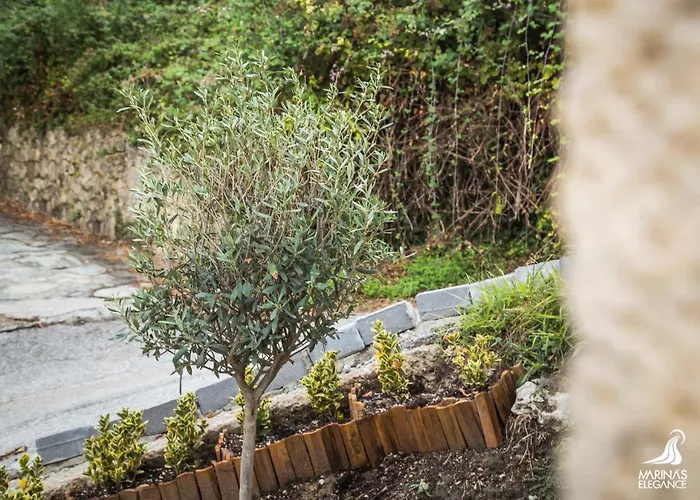 Marina's Elegance Kriopigi